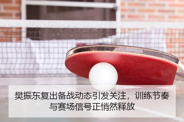 樊振东复出备战动态引发关注，训练节奏与赛场信号正悄然释放